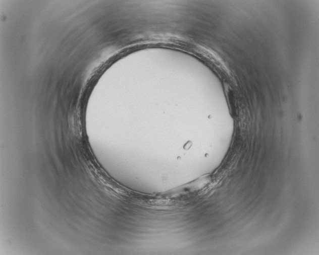 X0000070391172200607072211