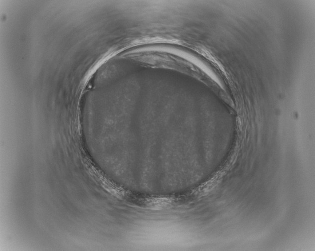 X0000070391173200607072211