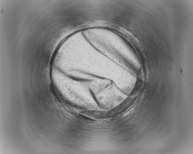 X0000070391174200607072211