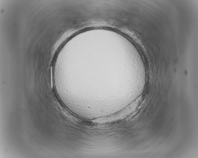 X0000070391175200607072211