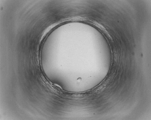 X0000070391176200607072211