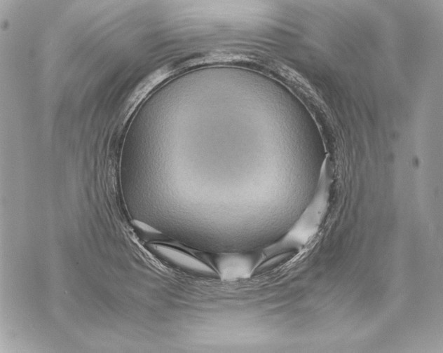 X0000070391177200607072211