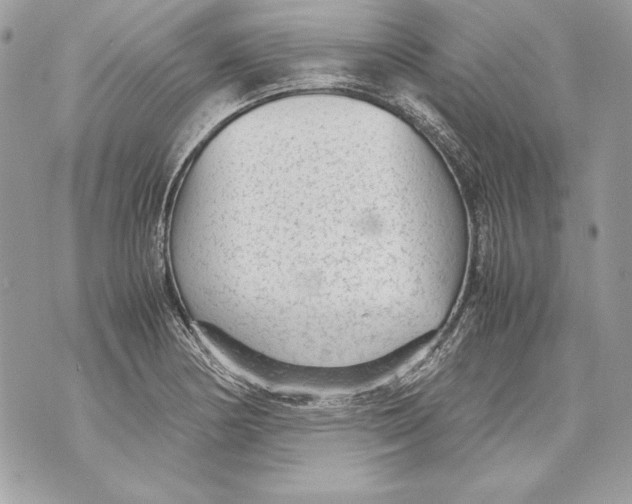 X0000070391178200607072211