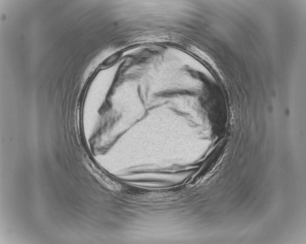 X0000070391179200607072211