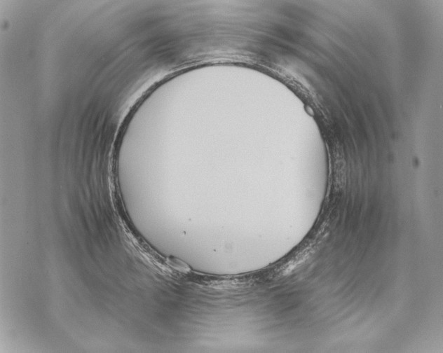 X0000070391182200607072211