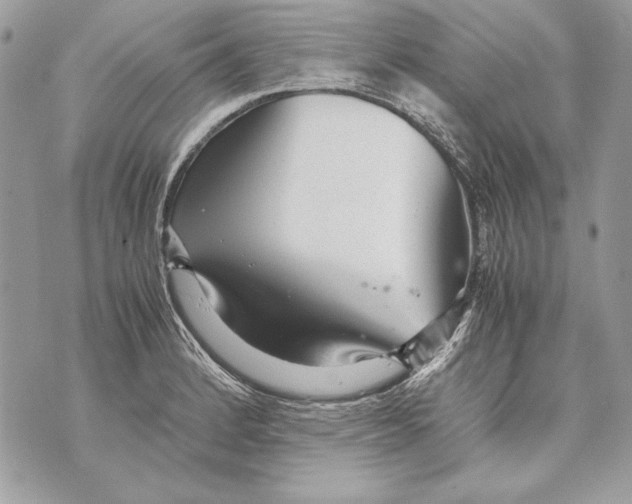 X0000070391184200607072211