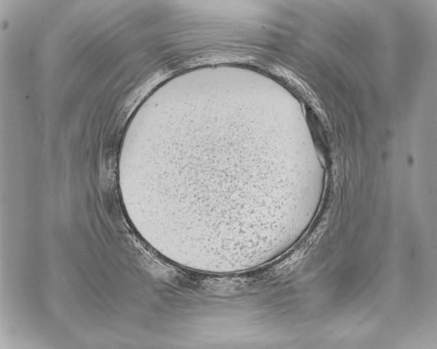 X0000070391185200607072211