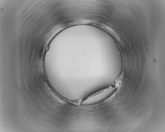 X0000070391186200607072211