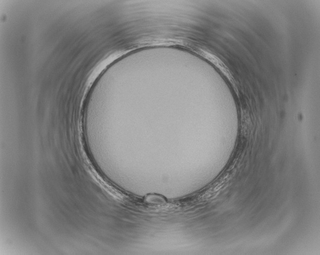 X0000070391187200607072211