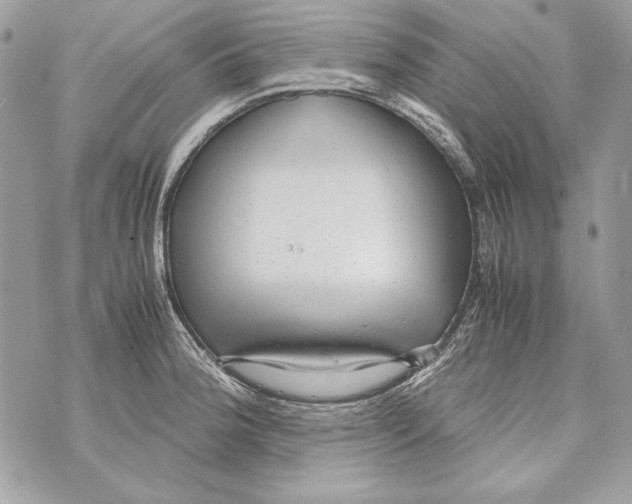 X0000070391188200607072211