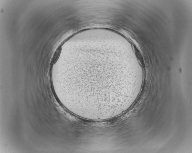 X0000070391189200607072211