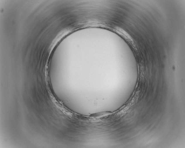 X0000070391190200607072211