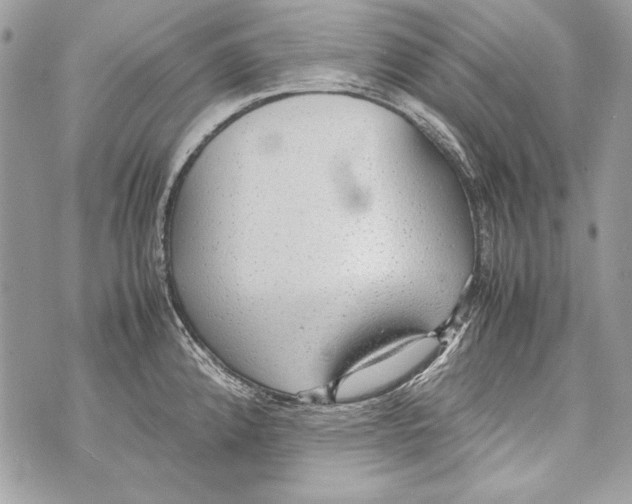 X0000070391192200607072211