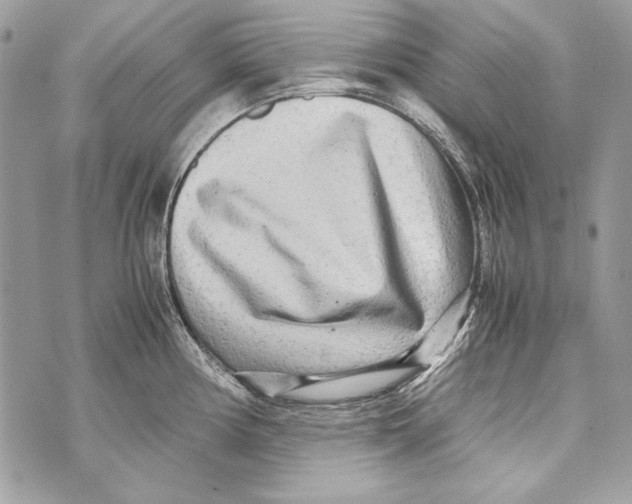 X0000070391194200607072211