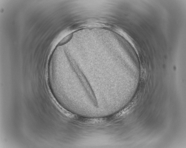 X0000070391195200607072211