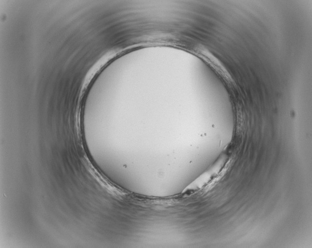 X0000070391196200607072211