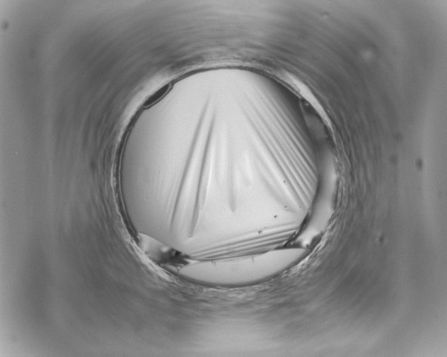 X0000070391197200607072211