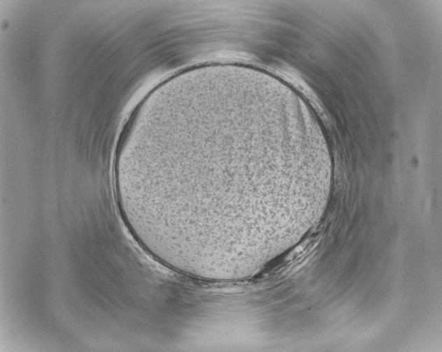 X0000070391199200607072211