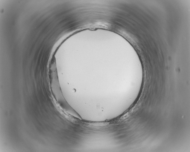 X0000070391200200607072211