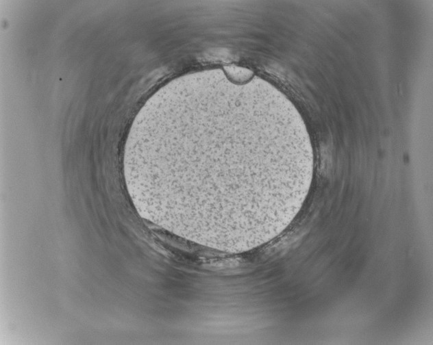 X0000070391201200607072210