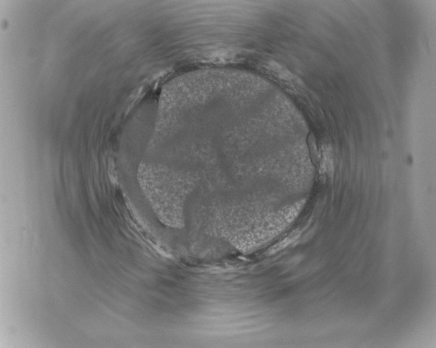 X0000070391202200607072210