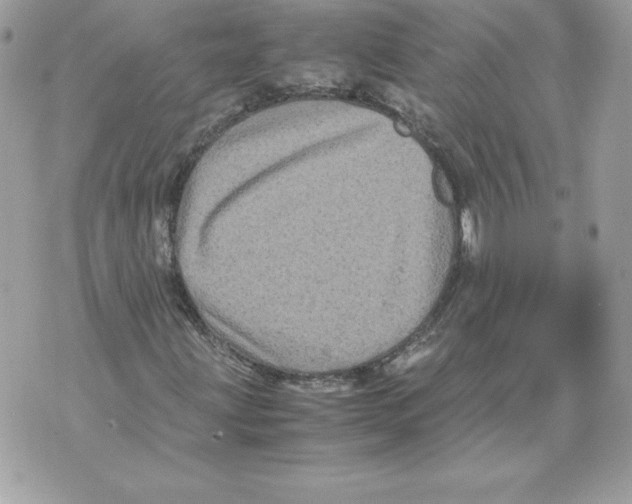 X0000070391203200607072210