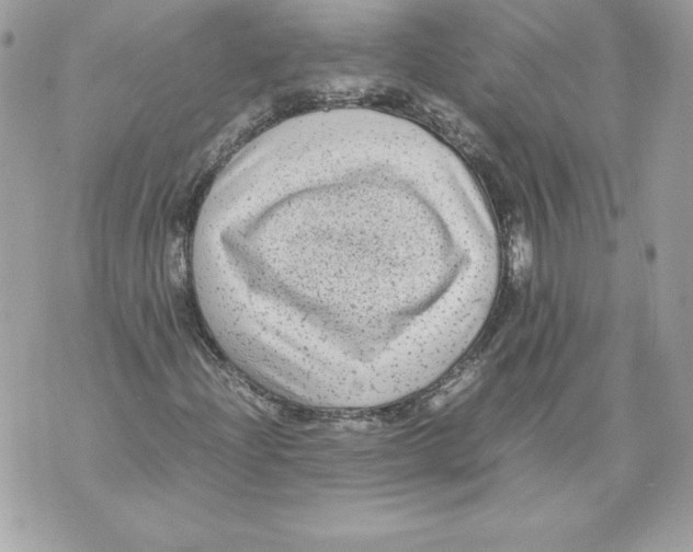 X0000070391204200607072210