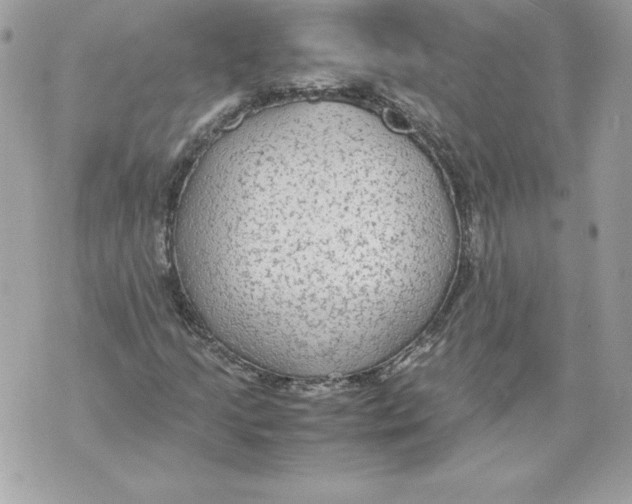 X0000070391205200607072210