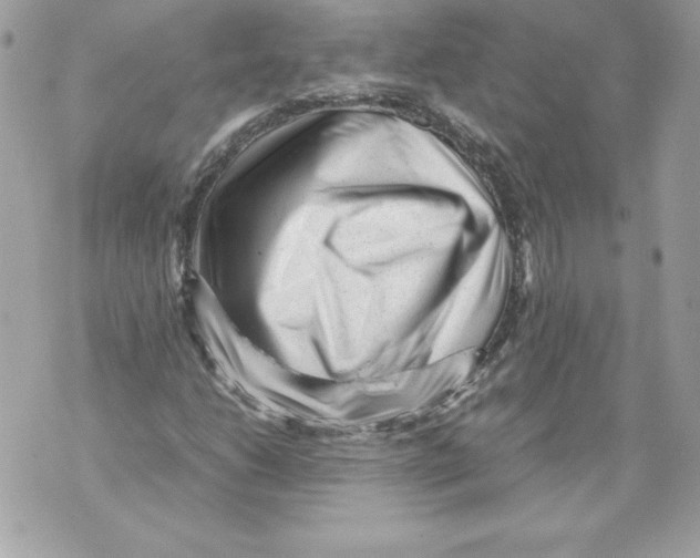 X0000070391206200607072210