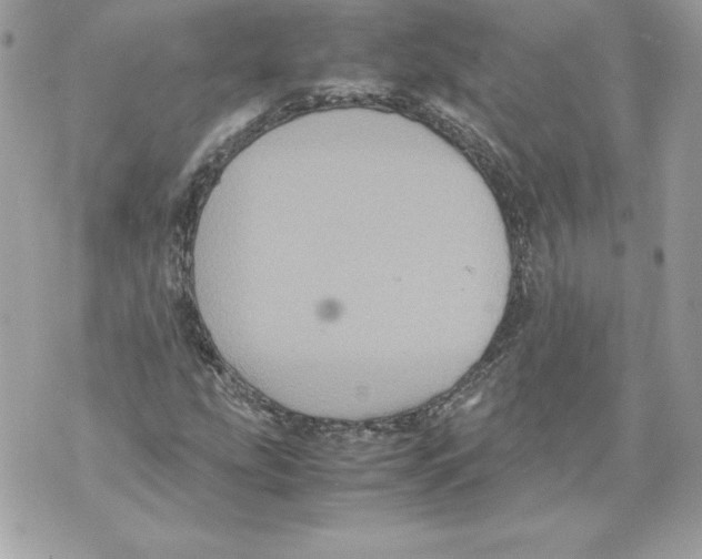 X0000070391207200607072210