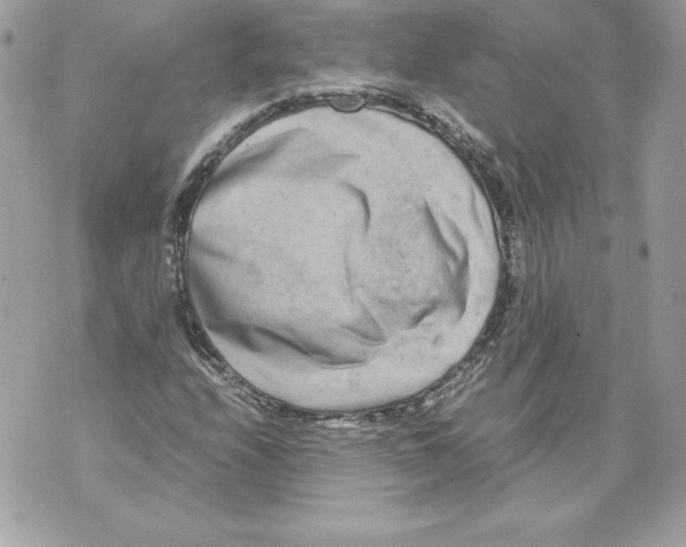 X0000070391208200607072210