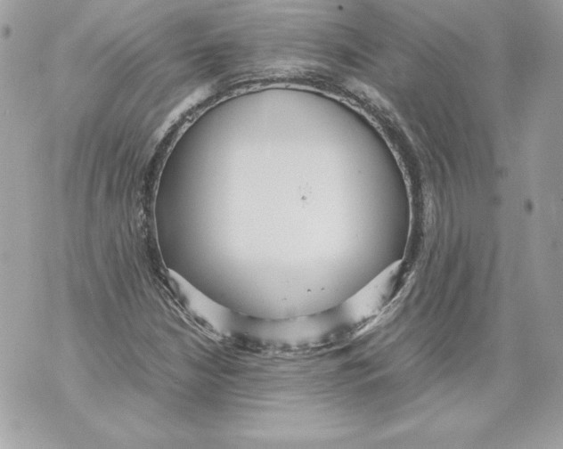 X0000070391210200607072210