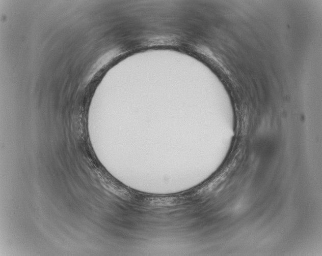 X0000070391211200607072210