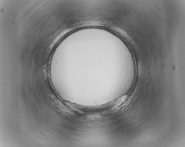 X0000070391212200607072210