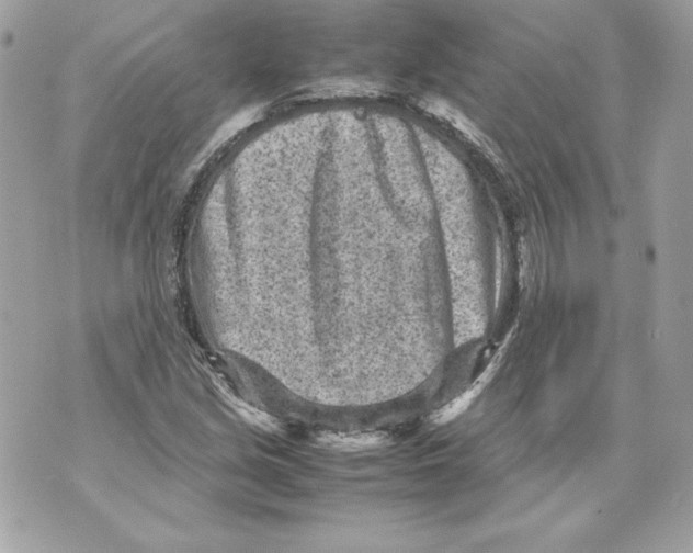 X0000070391213200607072210