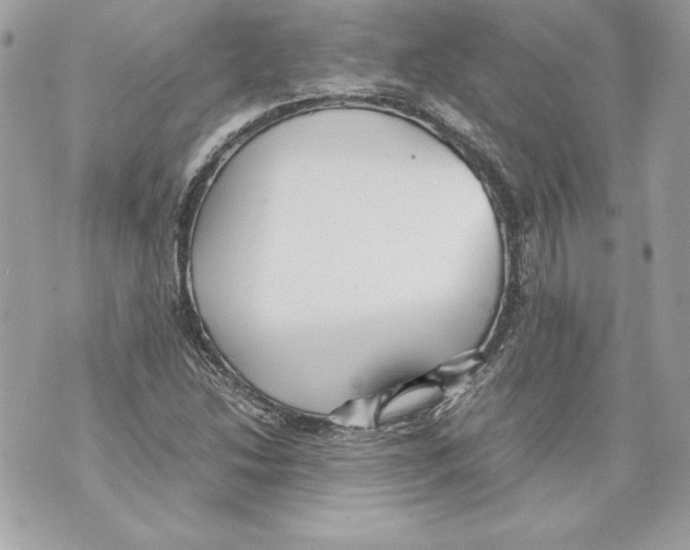 X0000070391214200607072210