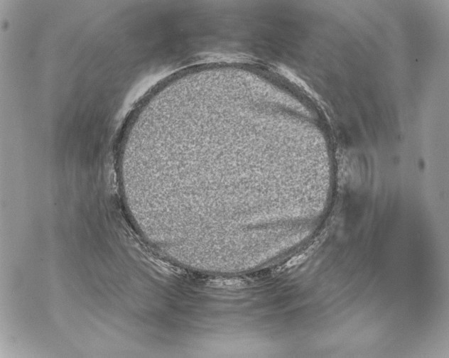 X0000070391215200607072210