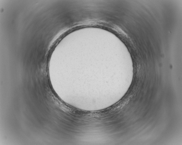 X0000070391216200607072210