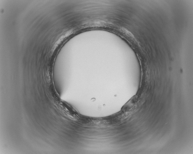 X0000070391218200607072211