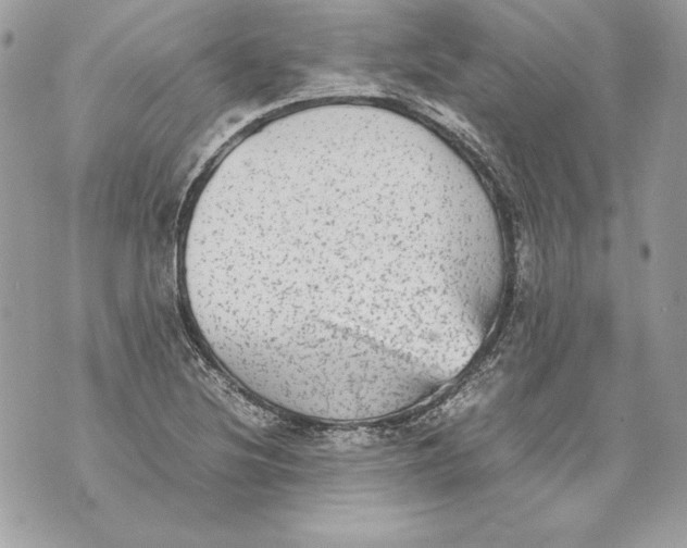 X0000070391220200607072211