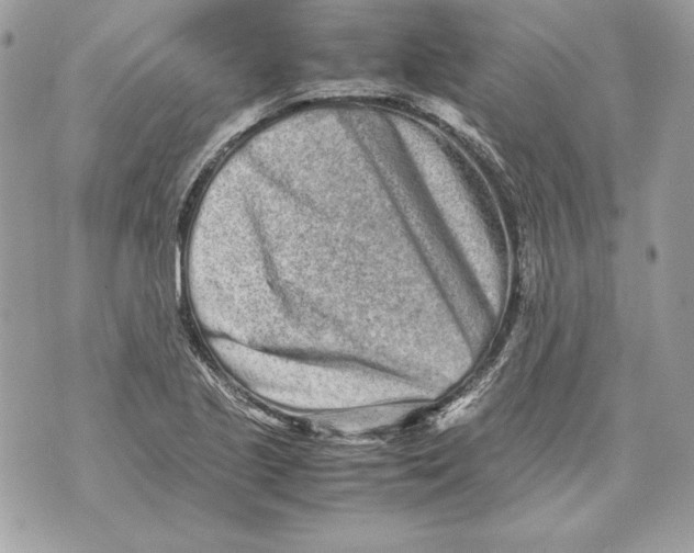 X0000070391221200607072211