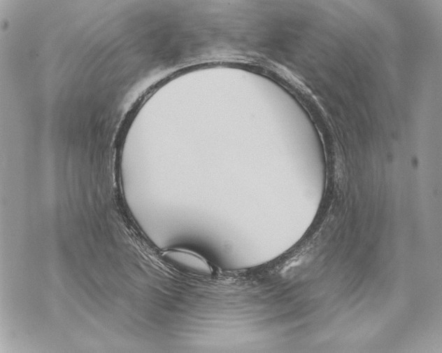 X0000070391222200607072211