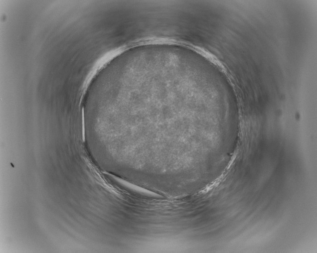 X0000070391223200607072211