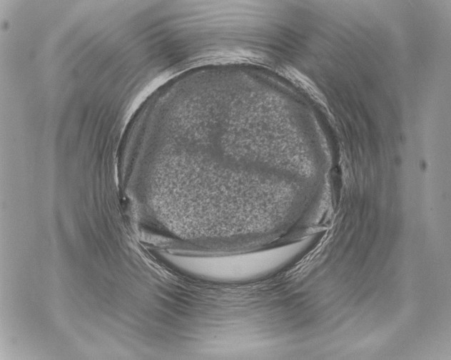 X0000070391226200607072211