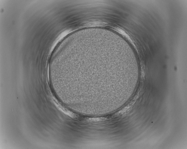 X0000070391227200607072211