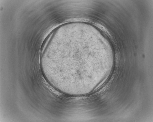 X0000070391228200607072211