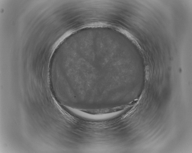 X0000070391229200607072211