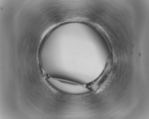 X0000070391230200607072211