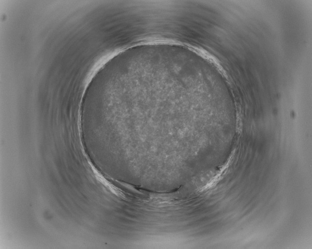 X0000070391231200607072211