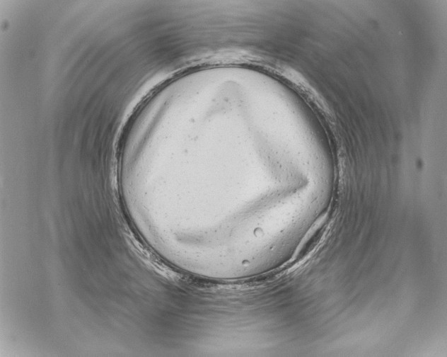 X0000070391232200607072211